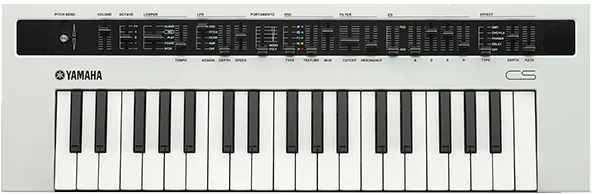 Reface Cs